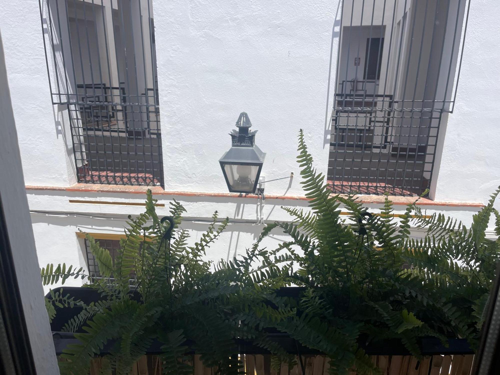 Mucho Trigo Apartments New Cordoba Exterior photo